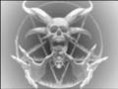 Trote Do Satanás Radio Chupim